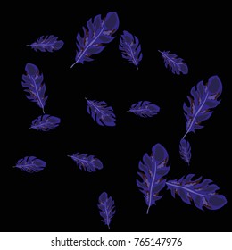 Feather Pattern, bright colorful background, cute and fun decoration. Black background. Vector illustration for celebration, party, carnival, festive holiday and Your project.