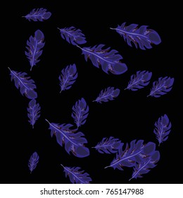 Feather Pattern, bright colorful background, cute and fun decoration. Black background. Vector illustration for celebration, party, carnival, festive holiday and Your project.