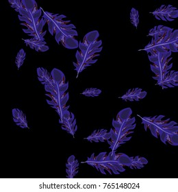 Feather Pattern, bright colorful background, cute and fun decoration. Black background. Vector illustration for celebration, party, carnival, festive holiday and Your project.