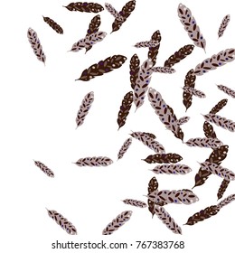Feather Pattern, bright colorful background, cute and fun decoration. Vector illustration for celebration, party, carnival, festive holiday and Your project.