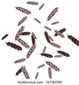 Feather Pattern, bright colorful background, cute and fun decoration. Vector illustration for celebration, party, carnival, festive holiday and Your project.