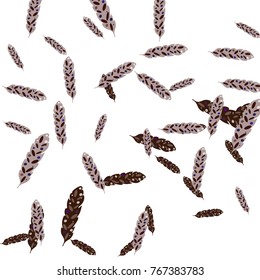 Feather Pattern, bright colorful background, cute and fun decoration. Vector illustration for celebration, party, carnival, festive holiday and Your project.