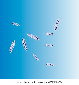 Feather Pattern, bright colorful background, cute and fun decoration. Vector illustration for celebration, party, carnival, festive holiday and Your project.