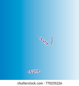 Feather Pattern, bright colorful background, cute and fun decoration. Vector illustration for celebration, party, carnival, festive holiday and Your project.