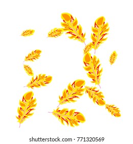 Feather Pattern, bright colorful background, cute and fun decoration. Vector illustration for celebration, party, carnival, festive holiday and Your project.