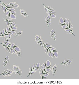 Feather Pattern, bright colorful background, cute and fun decoration. Gentle grey background. Vector illustration for celebration, party, carnival, festive holiday and Your project.