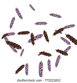 Feather Pattern, bright colorful background, cute and fun decoration. Vector illustration for celebration, party, carnival, festive holiday and Your project.