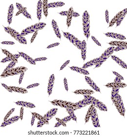 Feather Pattern, bright colorful background, cute and fun decoration. Vector illustration for celebration, party, carnival, festive holiday and Your project.