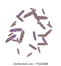 Feather Pattern, bright colorful background, cute and fun decoration. Vector illustration for celebration, party, carnival, festive holiday and Your project.