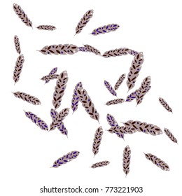 Feather Pattern, bright colorful background, cute and fun decoration. Vector illustration for celebration, party, carnival, festive holiday and Your project.