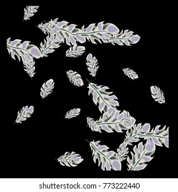 Feather Pattern, bright colorful background, cute and fun decoration. Black background. Vector illustration for celebration, party, carnival, festive holiday and Your project.