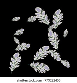 Feather Pattern, bright colorful background, cute and fun decoration. Black background. Vector illustration for celebration, party, carnival, festive holiday and Your project.
