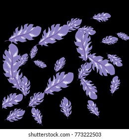 Feather Pattern, bright colorful background, cute and fun decoration. Black background. Vector illustration for celebration, party, carnival, festive holiday and Your project.