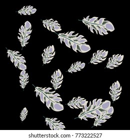 Feather Pattern, bright colorful background, cute and fun decoration. Black background. Vector illustration for celebration, party, carnival, festive holiday and Your project.