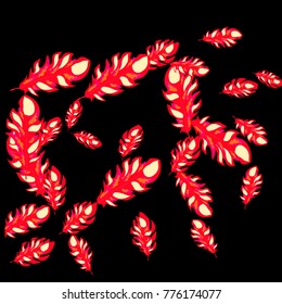 Feather Pattern, bright colorful background, cute and fun decoration. Black background. Vector illustration for celebration, party, carnival, festive holiday and Your project.