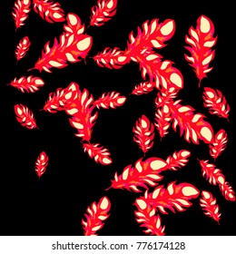 Feather Pattern, bright colorful background, cute and fun decoration. Black background. Vector illustration for celebration, party, carnival, festive holiday and Your project.