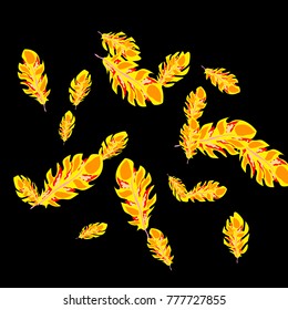 Feather Pattern, bright colorful background, cute and fun decoration. Black background. Vector illustration for celebration, party, carnival, festive holiday and Your project.