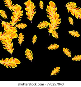 Feather Pattern, bright colorful background, cute and fun decoration. Black background. Vector illustration for celebration, party, carnival, festive holiday and Your project.