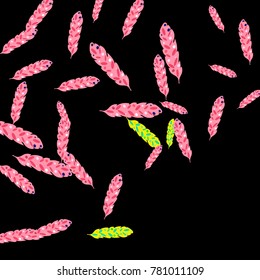 Feather Pattern, bright colorful background, cute and fun decoration. Black background. Vector illustration for celebration, party, carnival, festive holiday and Your project.