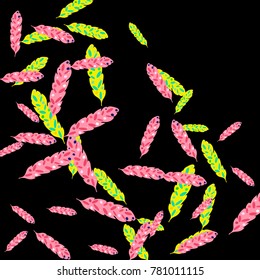 Feather Pattern, bright colorful background, cute and fun decoration. Black background. Vector illustration for celebration, party, carnival, festive holiday and Your project.