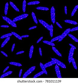 Feather Pattern, bright colorful background, cute and fun decoration. Black background. Vector illustration for celebration, party, carnival, festive holiday and Your project.