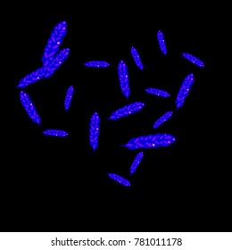 Feather Pattern, bright colorful background, cute and fun decoration. Black background. Vector illustration for celebration, party, carnival, festive holiday and Your project.