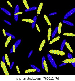 Feather Pattern, bright colorful background, cute and fun decoration. Black background. Vector illustration for celebration, party, carnival, festive holiday and Your project.