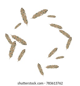 Feather Pattern, bright colorful background, cute and fun decoration. Vector illustration for celebration, party, carnival, festive holiday and Your project.