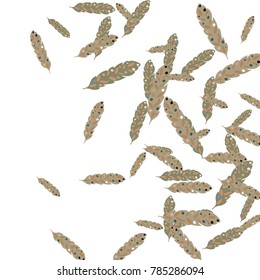 Feather Pattern, bright colorful background, cute and fun decoration. Vector illustration for celebration, party, carnival, festive holiday and Your project.