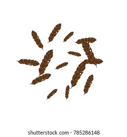 Feather Pattern, bright colorful background, cute and fun decoration. Vector illustration for celebration, party, carnival, festive holiday and Your project.