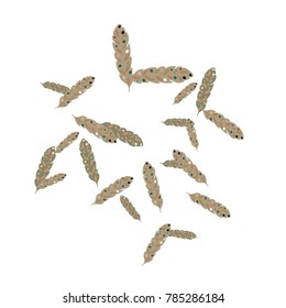 Feather Pattern, bright colorful background, cute and fun decoration. Vector illustration for celebration, party, carnival, festive holiday and Your project.