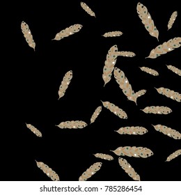 Feather Pattern, bright colorful background, cute and fun decoration. Black background. Vector illustration for celebration, party, carnival, festive holiday and Your project.