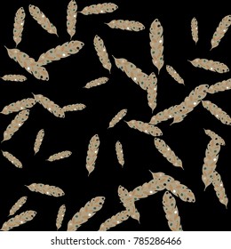 Feather Pattern, bright colorful background, cute and fun decoration. Black background. Vector illustration for celebration, party, carnival, festive holiday and Your project.