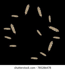 Feather Pattern, bright colorful background, cute and fun decoration. Black background. Vector illustration for celebration, party, carnival, festive holiday and Your project.