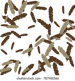 Feather Pattern, bright colorful background, cute and fun decoration. Vector illustration for celebration, party, carnival, festive holiday and Your project.