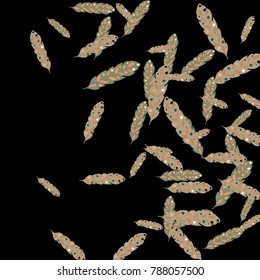 Feather Pattern, bright colorful background, cute and fun decoration. Black background. Vector illustration for celebration, party, carnival, festive holiday and Your project.