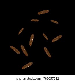 Feather Pattern, bright colorful background, cute and fun decoration. Black background. Vector illustration for celebration, party, carnival, festive holiday and Your project.
