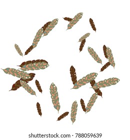 Feather Pattern, bright colorful background, cute and fun decoration. Vector illustration for celebration, party, carnival, festive holiday and Your project.