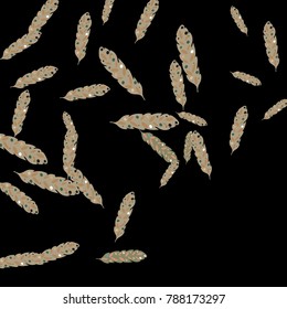 Feather Pattern, bright colorful background, cute and fun decoration. Black background. Vector illustration for celebration, party, carnival, festive holiday and Your project.