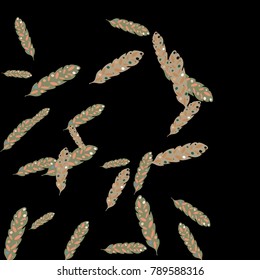 Feather Pattern, bright colorful background, cute and fun decoration. Black background. Vector illustration for celebration, party, carnival, festive holiday and Your project.