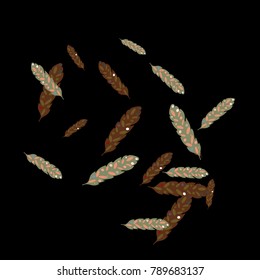 Feather Pattern, bright colorful background, cute and fun decoration. Black background. Vector illustration for celebration, party, carnival, festive holiday and Your project.