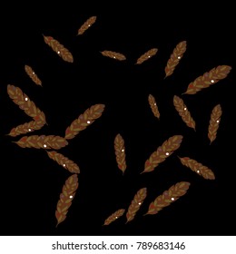 Feather Pattern, bright colorful background, cute and fun decoration. Black background. Vector illustration for celebration, party, carnival, festive holiday and Your project.