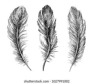 Feather Pattern hand drawn
