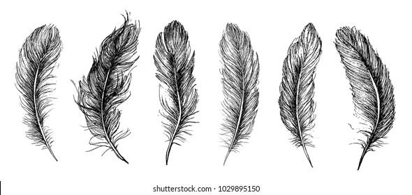 Feather Pattern hand drawn