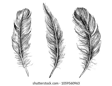 Feather Pattern, hand drawn