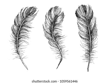 Feather Pattern, hand drawn