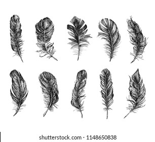 Feather Pattern Hand Drawn Stock Vector (Royalty Free) 1251987850 ...