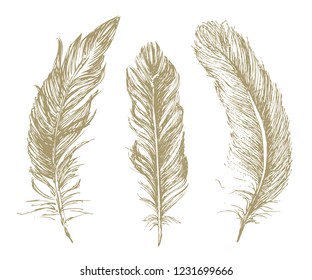 
Feather Pattern hand drawn