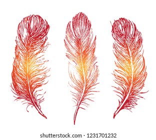 
Feather Pattern hand drawn