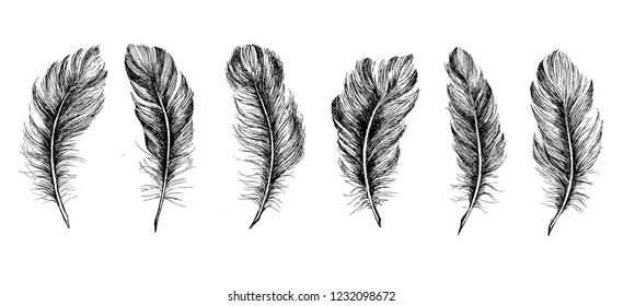 264,733 Feather in hand Images, Stock Photos & Vectors | Shutterstock